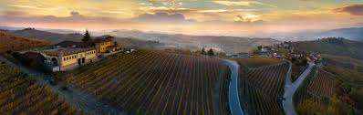 Pier Vineyards