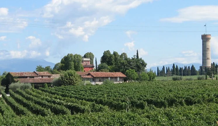 Selva Capuzza