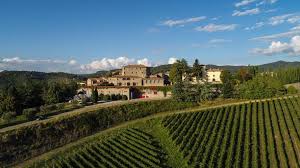 Sicily Vineyards