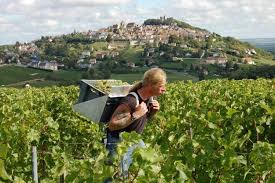 Sancerre Town