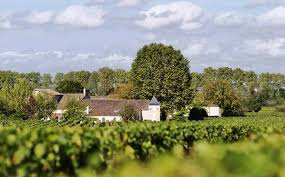 Chateau Bourgneuf