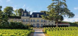 Chateau Fonplegade