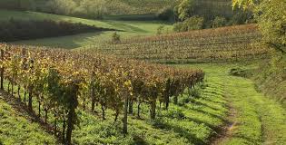 Plaimont Vineyards