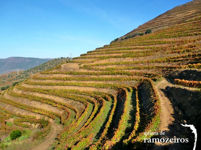 Quinta de Ramozeiros