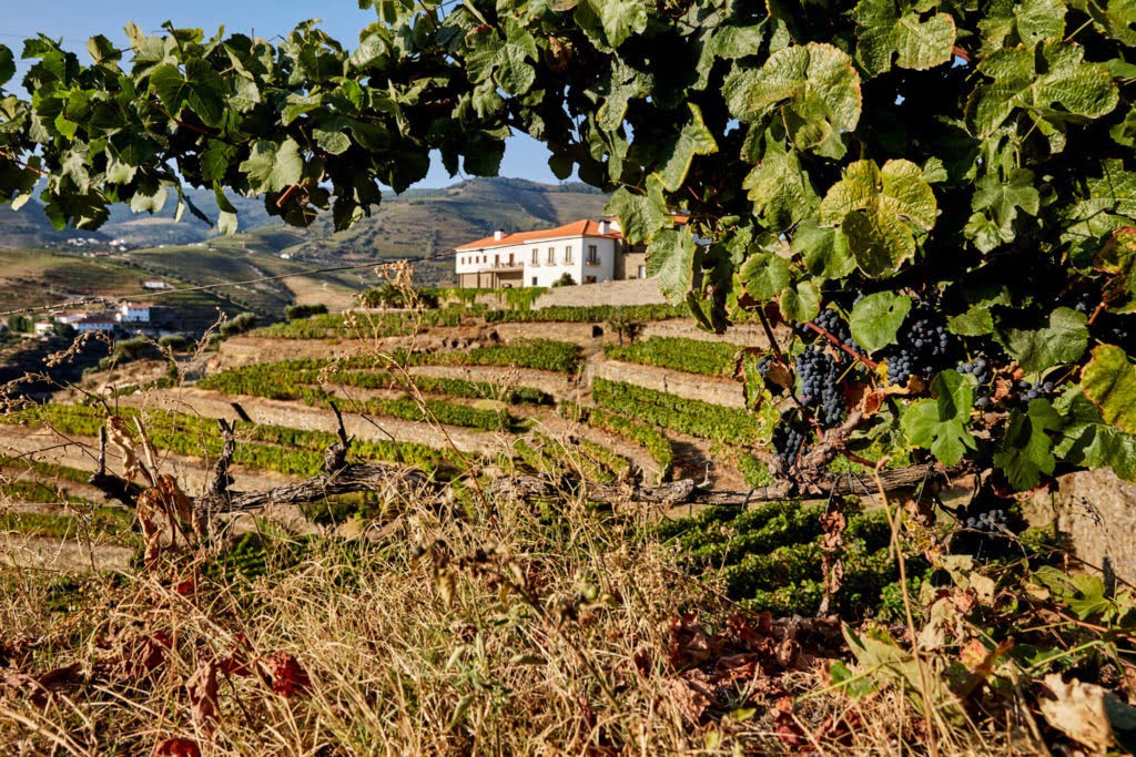 Quinta do Pego